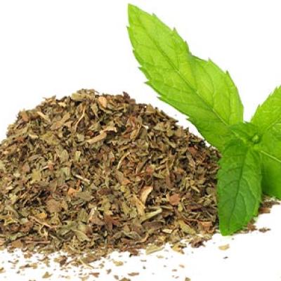 MENTA (DIVLJA METVICA, NANA)