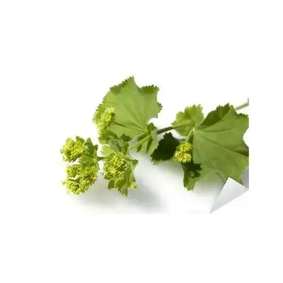 VRKUTA HERBA