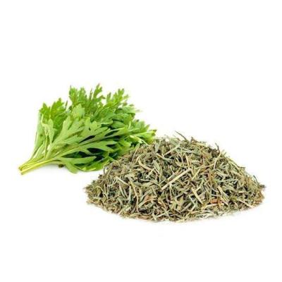 SLATKI PELIN, HERBA