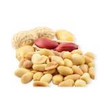 Kikiriki, oljušteni slani